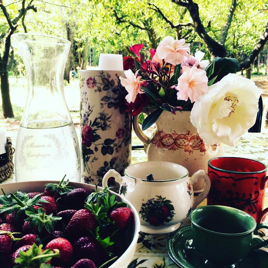 Bed and Breakfast Casina Mozart Lecce Magliano Zewnętrze zdjęcie