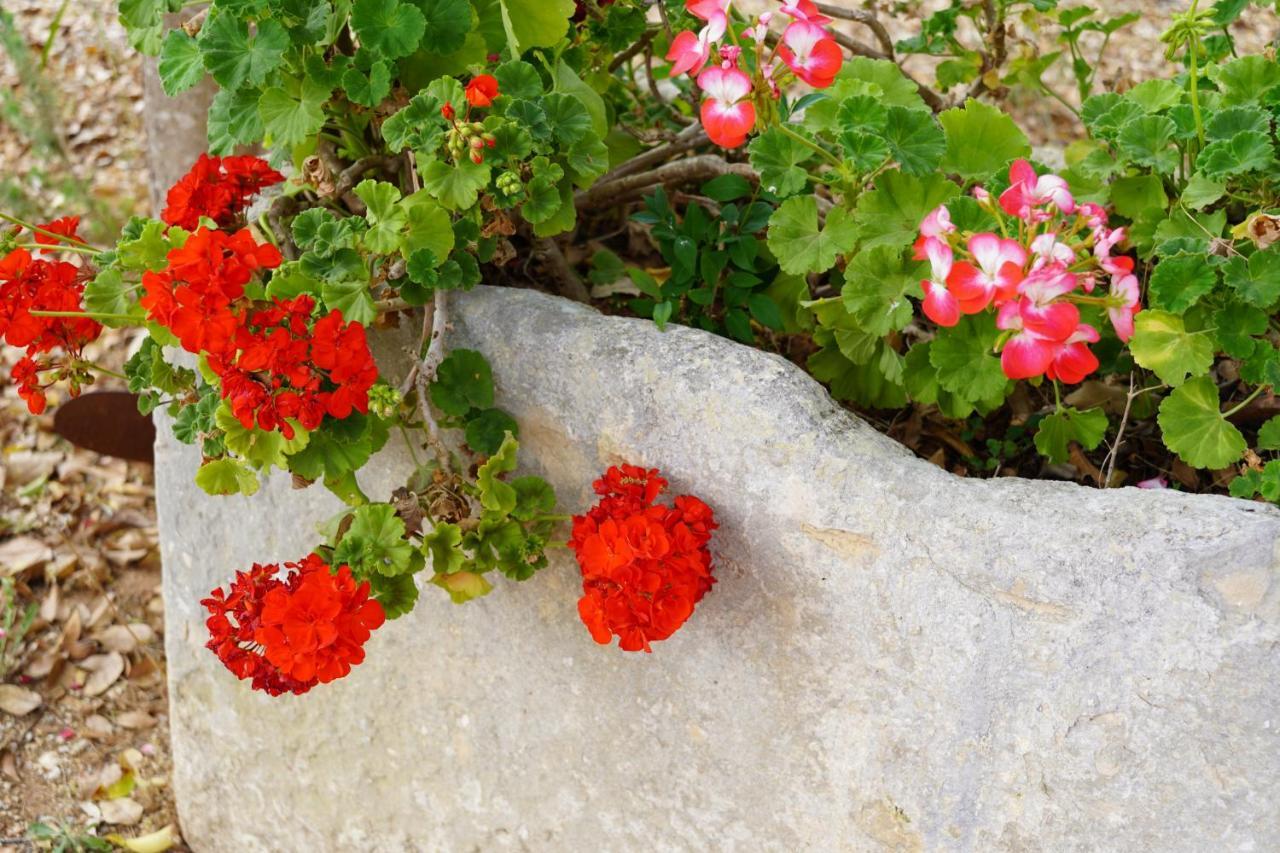 Bed and Breakfast Casina Mozart Lecce Magliano Zewnętrze zdjęcie